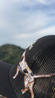 Gorra Trucker Premium "Street Hunt"